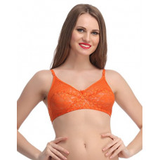 Deals, Discounts & Offers on Women - [Size 32B] Clovia Women's Pack of 2 Non Padded Wirefree Bra in Jacquard Lace with Polyamide
