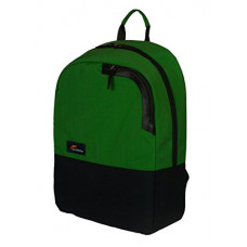 Deals, Discounts & Offers on Laptop Accessories - Protecta Deja Vu 15.6-inch Laptop and Tablet Backpack (Black and Green)