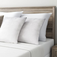 Deals, Discounts & Offers on  - Momsyard (Original) Microfiber Filled Cushion, Sofa Pillow, Ultra Soft Cushions, White (12x12Inch|30x30cm) - Pack of 2