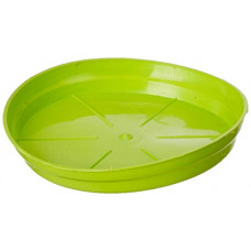 Deals, Discounts & Offers on  - Gardens Need 100% Virgin Plastic Tray -08 No. | Set of 12 Trays, (13.5cm x 15.5cm x 2cm, Lemon Green)