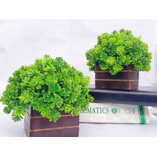 Deals, Discounts & Offers on  - AJSN Artificial Green Plant with Wooden Pot