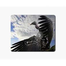 Deals, Discounts & Offers on  - iKraft Mouse Pad 18x22cm Non-Slip Rubber Vulture Bird Printed Gaming Mouse Pad Mate