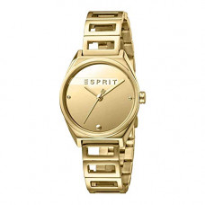 Deals, Discounts & Offers on Women - Esprit Gold Dial Women's Watch -ES1L058M0025