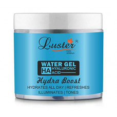 Deals, Discounts & Offers on Beauty Care - Luster Hydra Boost Water Gel With Hyaluronic Acid, Papaya, Aloe Vera, Kiwi 100g