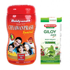 Deals, Discounts & Offers on  - Baidyanath Chyawanprash Special (1 Kg) & Giloy Juice (500 Ml) - Combo Pack