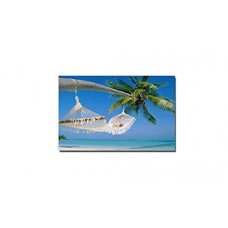 Deals, Discounts & Offers on  - XtremeSkins Framed Canvas - Wall Decor