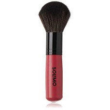 Deals, Discounts & Offers on Beauty Care - Amazon Brand - Solimo Powder Brush, Small, Pink