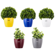 Deals, Discounts & Offers on Gardening Tools - Amazon Brand - Solimo Round Planter, Set of 5 (Yellow, Blue, White, Claret, Grey)