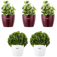 Deals, Discounts & Offers on Gardening Tools - Amazon Brand - Solimo Round Planter, Set of 5 (Claret 3 Pc, White 2 Pc)