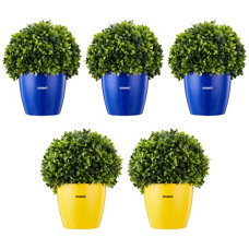 Deals, Discounts & Offers on Gardening Tools - Amazon Brand - Solimo Round Planter, Set of 5 (Blue 3 Pc, Yellow 2 Pc)