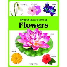 Deals, Discounts & Offers on Books & Media - My first picture book of Flowers: Picture Books