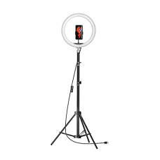 Deals, Discounts & Offers on Electronics - Amazon Basics LED Ring Light (12-inch) with Hot Shoe Adapter, Stand & Cameras, and 3 Temperature Modes