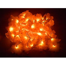 Deals and Offers on - Tu Casa DW-245-11 Daffoldil Flower String Light (Pastel Yellow) Deals, Discounts & Offers on - Tu Casa DW-245-11 Daffoldil Flower String Light (Pastel Yellow)