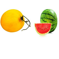 Deals, Discounts & Offers on Outdoor Living  - Iris Hybrid Fruit Seeds Combo of Watermelon and Melon with Instruction Manual