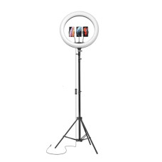 Deals, Discounts & Offers on Accessories - Amazon Basics LED Ring Light (14-inch) with Tripod Stand & Mini Tripod, and Dual Temperature Modes