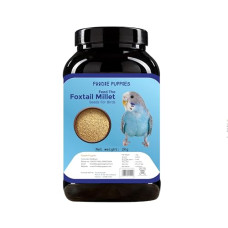 Deals and Offers on Food and Health - Foodie Puppies Foxtail Millet/Kangani Bird Food - 2Kg | Natural & Healthy Premium Mix Seeds, Sunflower Seed, Canary Seed | Daily Birds Food Seeds | All Life Stages Deals, Discounts & Offers on Food and Health - Foodie Puppies Foxtail Millet/Kangani Bird Food - 2Kg | Natural & Healthy Premium Mix Seeds, Sunflower Seed, Canary Seed | Daily Birds Food Seeds | All Life Stages