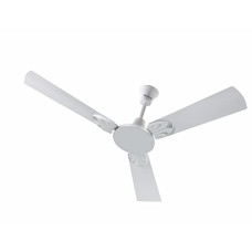 Deals and Offers on - Surya Divine 1200MM Ceiling Fans | Deals, Discounts & Offers on - Surya Divine 1200MM Ceiling Fans |