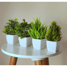 Deals, Discounts & Offers on  - Litleo Mini Green Plant with Pot Small Greenery Decor