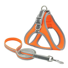 Deals and Offers on - KUTKUT Adjustable Reflective Breathable Soft Pet Chest Vest Harness and Leash with Air Mesh No Pull for Strap Deals, Discounts & Offers on - KUTKUT Adjustable Reflective Breathable Soft Pet Chest Vest Harness and Leash with Air Mesh No Pull for Strap