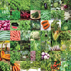Deals, Discounts & Offers on  - UGAOO Indian Vegetable Seeds Bank For Home Garden 50 Varieties - 2255 Seeds