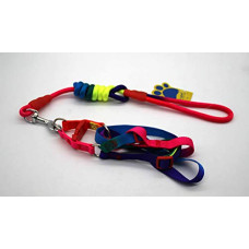 Deals, Discounts & Offers on  - A+a Pets Rainbow Harness and Leash