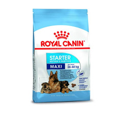 Deals, Discounts & Offers on Food and Health - Royal Canin Baby Pellet Dog Food Maxi Starter, Meat Flavour, 1 KG