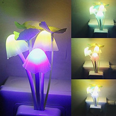 Deals, Discounts & Offers on  - Lexton Night Light , Multicolour, Pack of 1