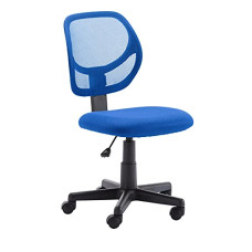 Deals, Discounts & Offers on Furniture - AmazonBasics Low-Back Computer Chair (Nylon, Blue)