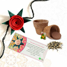Deals, Discounts & Offers on  - Kraft Rakhi with Seed gift set with Plantable seed of marigold, Roil-chawal, 2 coir plants and cocopeat