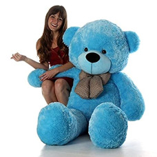 Deals, Discounts & Offers on  - TEDSTREE Skin Friendly Lovable & Huggable 2 Feet Blue Super Soft Teddy Bear