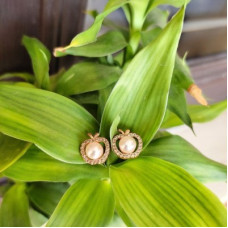 Deals and Offers on - Mahi JewelsBeautiful Apple Shaped Studs for women, girls Deals, Discounts & Offers on - Mahi JewelsBeautiful Apple Shaped Studs for women, girls