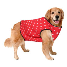 Deals and Offers on - Sage Square Dog T-Shirt Polka - Stylish Red & White Polka Dot Casual T-Shirt Deals, Discounts & Offers on - Sage Square Dog T-Shirt Polka - Stylish Red & White Polka Dot Casual T-Shirt