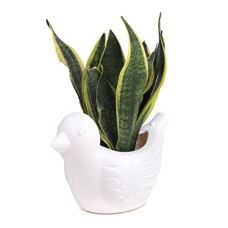 Deals, Discounts & Offers on Gardening Tools - GTB Bird Shape Pot For Home Decor/Decoration White Color