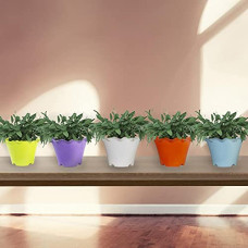 Deals, Discounts & Offers on Gardening Tools - TrustBasket Jasmine Flower Pot (Set of 5