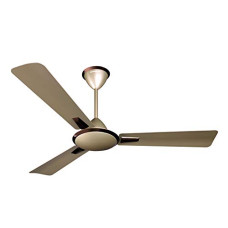 Deals, Discounts & Offers on  - Crompton Aura Prime 1200 mm (48 inch) Decorative Ceiling Fan with Anti Dust Technology (Birken Effect)