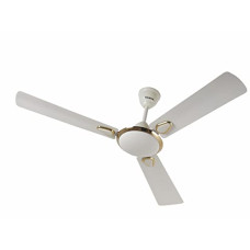 Deals and Offers on - Surya Grace 1200MM Ceiling Fans | Deals, Discounts & Offers on - Surya Grace 1200MM Ceiling Fans |