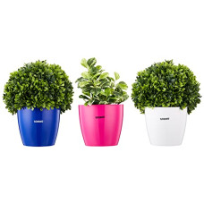 Deals, Discounts & Offers on Gardening Tools - Amazon Brand - Solimo Round Planter, Set of 3 (Pink, Blue, White)
