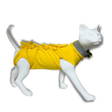 Deals and Offers on - A+a Pets' Cat Everyday Clothing, Deals, Discounts & Offers on - A+a Pets' Cat Everyday Clothing,