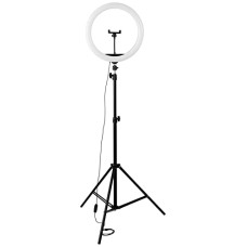 Deals, Discounts & Offers on  - Amazon Basics LED Ring Light (12-inch) with Tripod Stand, Hot Shoe Adapter and 3 Temperature Modes