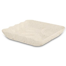Deals and Offers on - Milton Melamine Sandwich Plate, 6 Inches/15.2 cm, Terrosoivory | Durable | Food Safe | Breakfast | Momos | Serving Deals, Discounts & Offers on - Milton Melamine Sandwich Plate, 6 Inches/15.2 cm, Terrosoivory | Durable | Food Safe | Breakfast | Momos | Serving