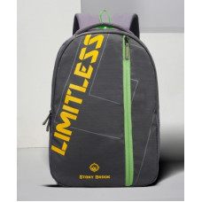 Deals, Discounts & Offers on Backpacks - Stony Brook by Nasher MilesLarge 35 L Backpack Altitude Grey Casual Backpack 35 L(Grey)
