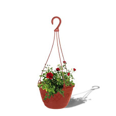 Deals, Discounts & Offers on Gardening Tools - TrustBasket Fern Hanging Basket (Brown Set of 3) | Hanging Pots