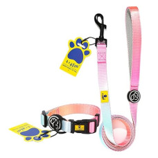 Deals, Discounts & Offers on  - A+a Pets' Skin-Friendly Buckle Dog Collar & Leash Combo