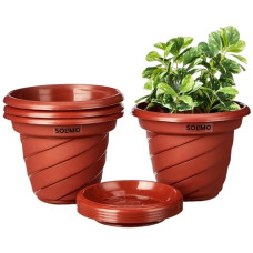 Deals, Discounts & Offers on Gardening Tools - Amazon Brand - Solimo Planters/Flower Pots with Bottom Plates (Set of 4, 5.5 Inch, Red)|Gamla Pots