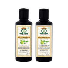 Deals, Discounts & Offers on  - S2M Khadi Herbal Ayurvedic Amla Bhringraj Shampoo 210 ml (Pack of 2)