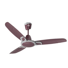 Deals, Discounts & Offers on  - Polycab Purocoat Premium 1200 Ceiling Fan (Revere Grape, 1200 MM)