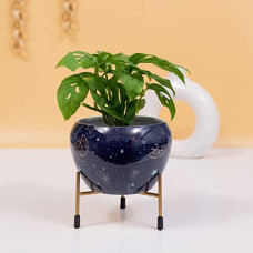 Deals, Discounts & Offers on Gardening Tools - Kyari Decorative Space Design Planter Pot with Tripod Metal Stand