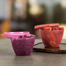 Deals and Offers on - Tupperware Bowled Over Plastic Container Set, 450ml, Set of 2, Multicolour Deals, Discounts & Offers on - Tupperware Bowled Over Plastic Container Set, 450ml, Set of 2, Multicolour