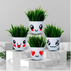 Deals, Discounts & Offers on  - Neki Set of 4 mini green plant's with pot