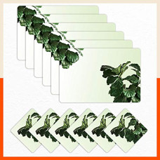 Deals, Discounts & Offers on  - Table Mats by Bathla - Set of 6-45cm x 30cm Table Placemats & Coasters